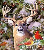 Олень и кардиналы у заснеженной сосны