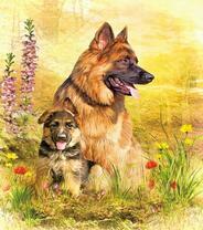 Щенок овчарки с мамой на весеннем лугу