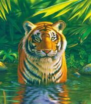 Тигр в озере под лучами солнца