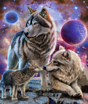 Волчье семейство на фоне космоса