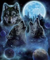 Серые волки и полная луна