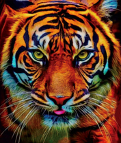 Тигр на охоте