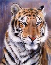 Тигр в раздумьях