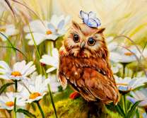 Милая сова с бабочкой на ромашках