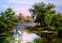 Красивые цапли на речке