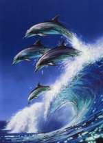 Танец дельфинов