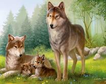 Волчья семья на отдыхе