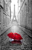 Красный зонтик на фоне Эйфелевой башни