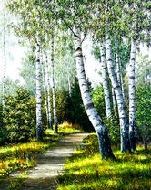 Березовая аллея
