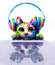 Кот в наушниках