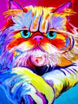 Цветной хмурый кот