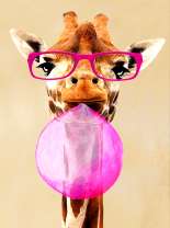 Жираф надувает пузырь