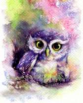 Радужная совушка