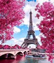 Париж в розовых тонах