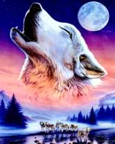 Стая волков у ночной реки под луной