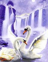 Лебеди и водопады