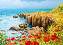 Маковое поле на брегу моря