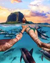 Следуй за мной со стаей дельфинов