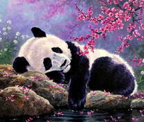 Милый панда под цветущей сакурой