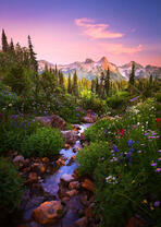 Ручеек в весенних горах