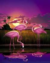 Три фламинго в лучах заходящего солнца