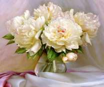 Прозрачная ваза с букетиком белых пионов