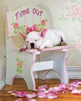 Щенок французского бульдога в лепестках роз