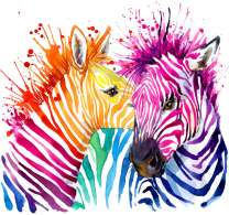 Две зебры в ярких полосках