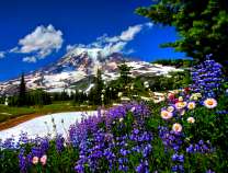 Весенний пейзаж в горах