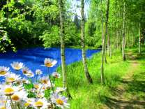 Тропинка у лесной реки