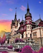 Фиолетовые кусты у старинного замка