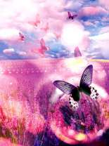 Стая бабочек над цветущим полем