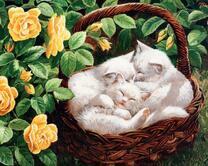 Три белых котёнка в корзинке под розовым кустом