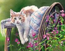 Кот на плетёном табурете