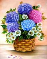 Цветные гортензии и ромашки