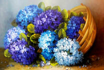 Пышные гортензии в корзине