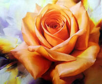 Оранжевый цветочек розы крупным планом