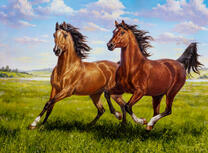 Две лошади резвятся на летнем лугу