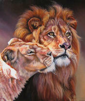 Нежная львица и гордый лев