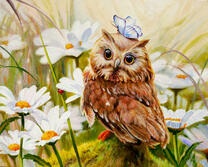 Совенок с бабочкаой в белых ромашках