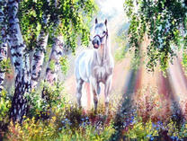 Белая лошадь под лучами солнца в березовой роще