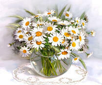 Маленькие белые ромашки в прозрачной вазе