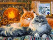 Два пушистых мей куна у камина в доме