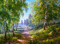 Дорожка по летней березовой роще