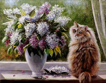 Пушистая кошка и большой букет сирени