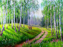 Грунтовая дорога в летней березовой роще