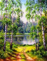 Дорожка к озеру через молодую березовую рощу