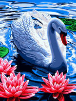 Лебедь и лотосы