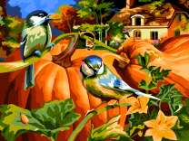 Синички на грядке с тыквами