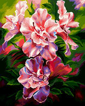 Нежно-розовые астрамелии